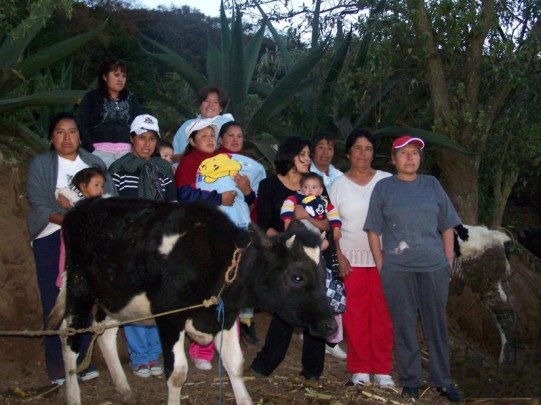 SanFelipe'sEffort.Mexico (2)