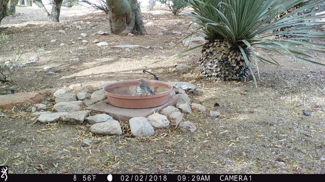 0929:020218:56F:0000:CAMERA1:5E[146:0059]G[008:0x0006]